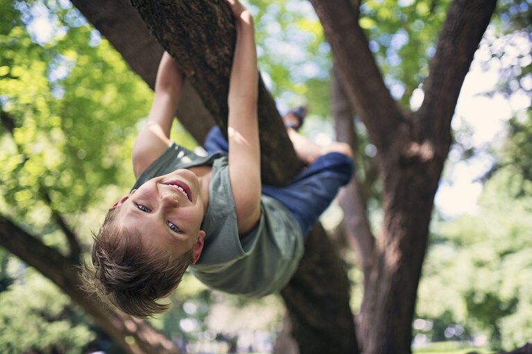 bimbo si arrampica su un albero