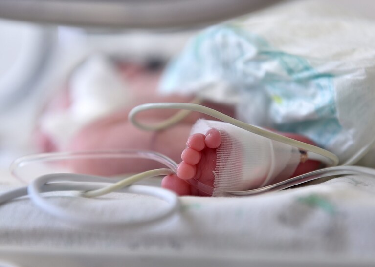 neonato - cavi