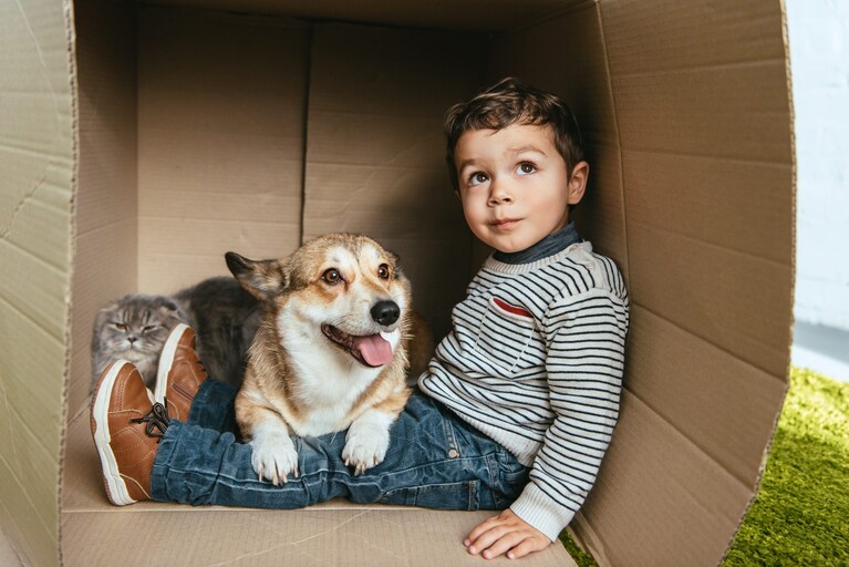 bimbo e cane