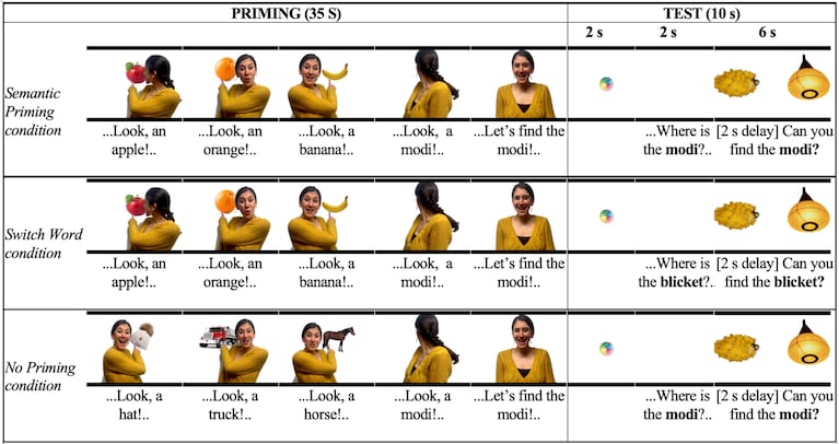 "Semantic priming supports infants’ ability to learn names of unseen objects", Plos One