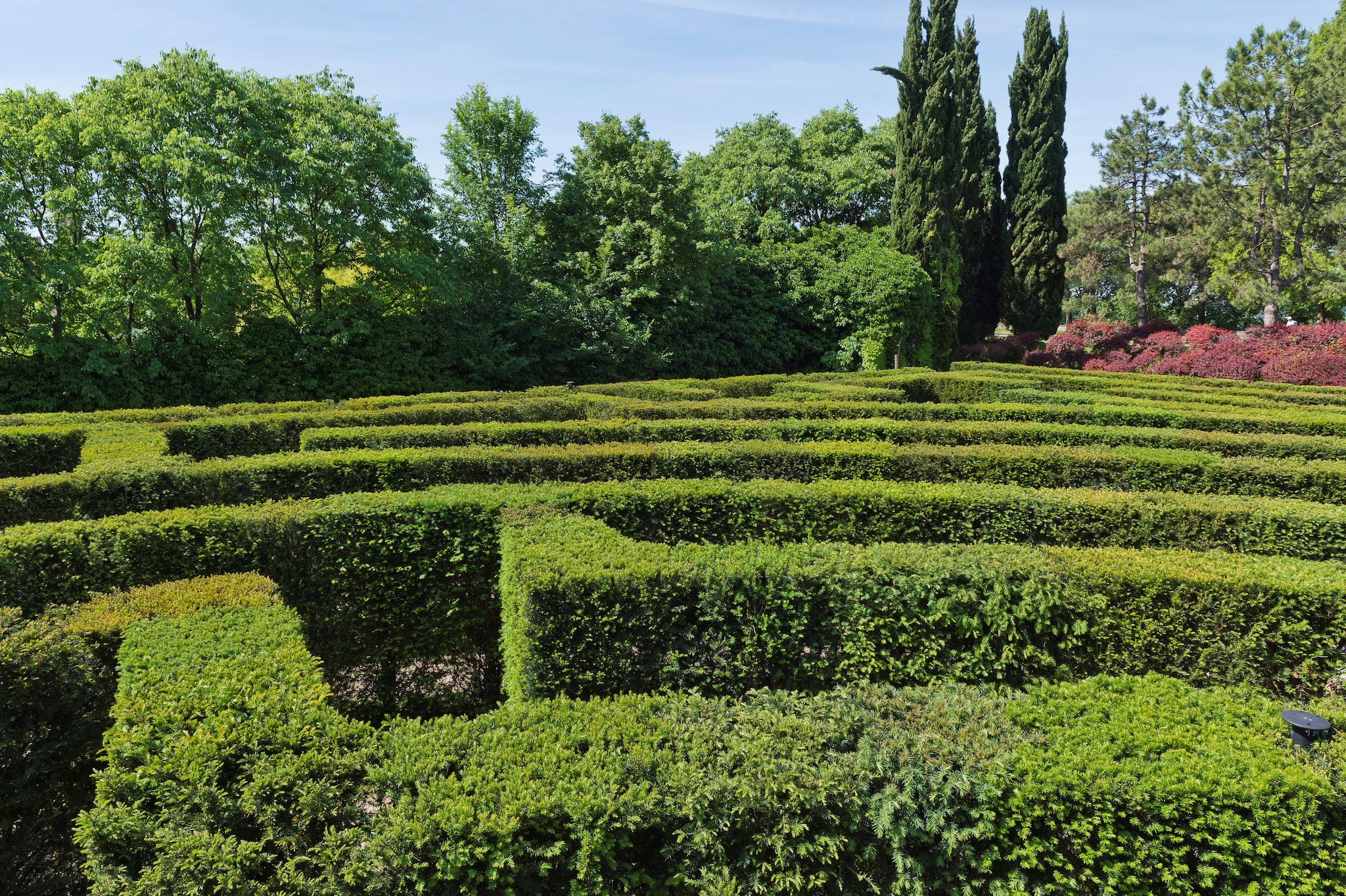 Il labirinto del Parco Sigurtà