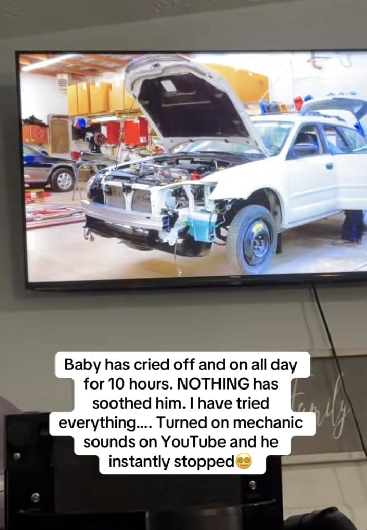 Credits: TikTok/@hannplunkett