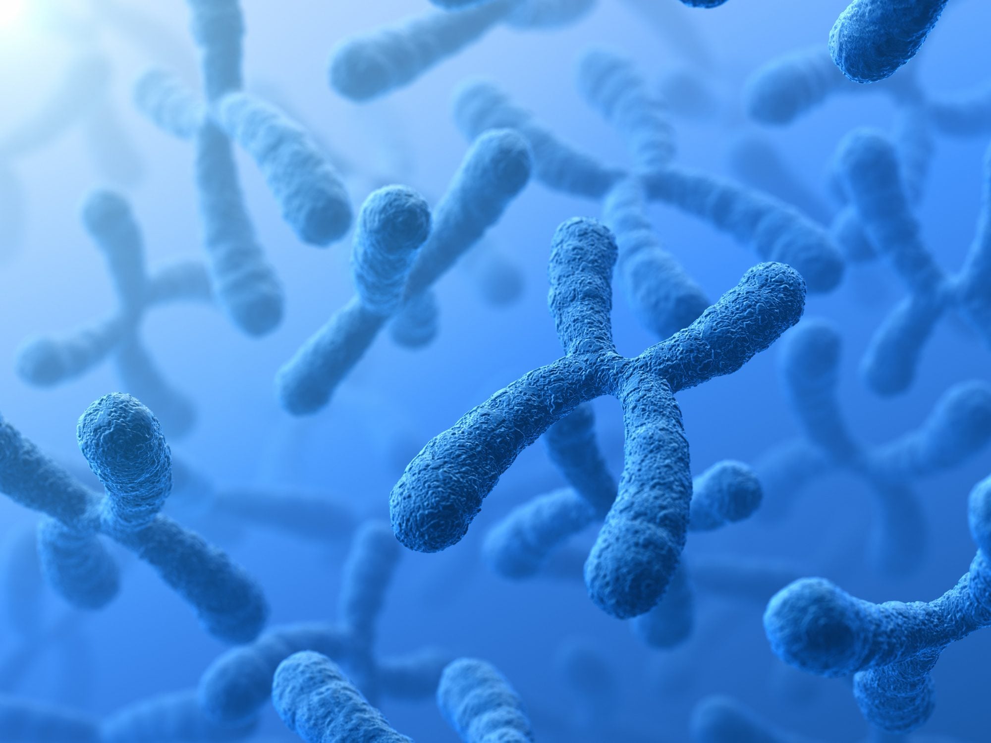 La Sindrome di Williams è causata da una microdelezione sul cromosoma 7