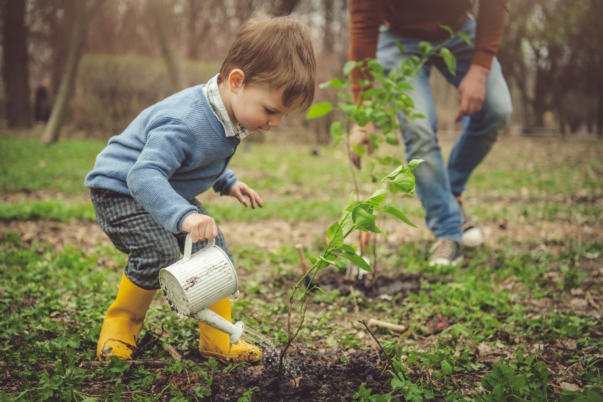 Prendersi cura delle piante aiuta i bambini ad acquisire senso di responsabilità e rispetto per la natura.