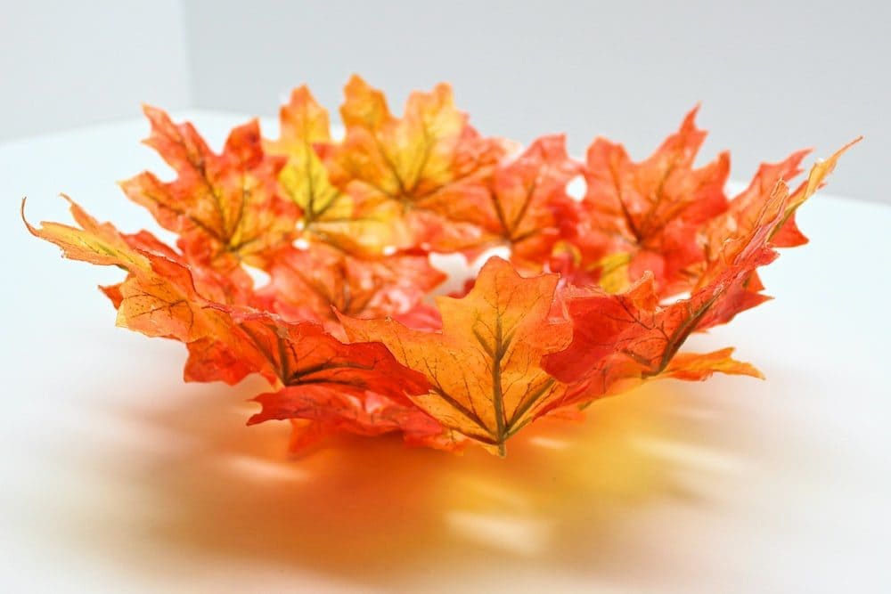 La ciotola di foglie dopo l’esplosione del palloncino. Credits: Pinterest / thecraftathomefamily