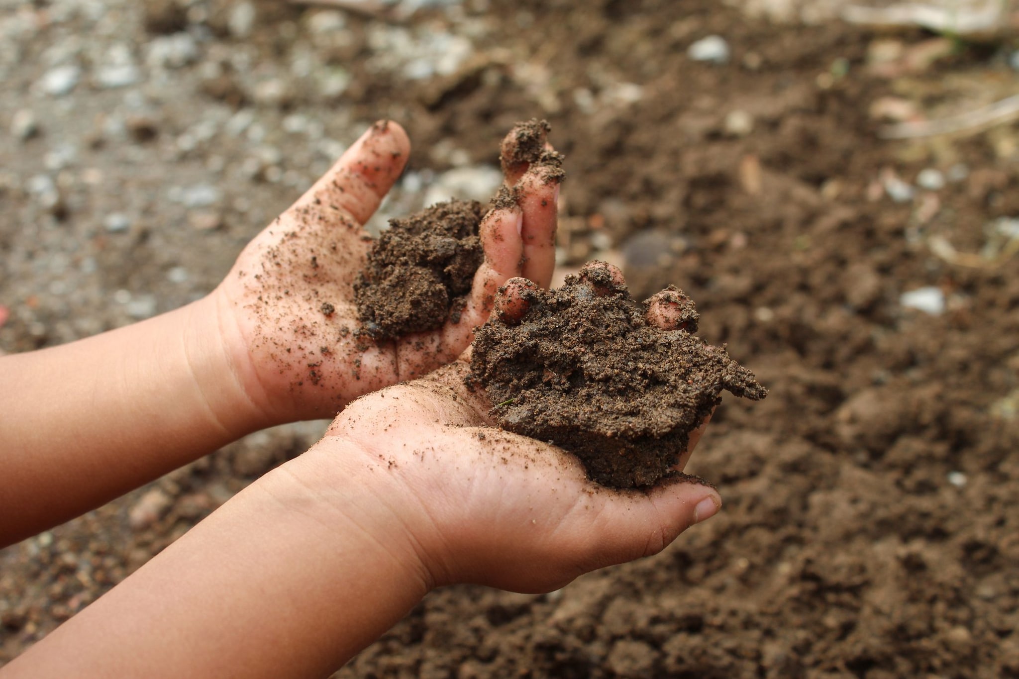 Giocare con la terra è un modo creativo di approcciarsi all’Ambiente.