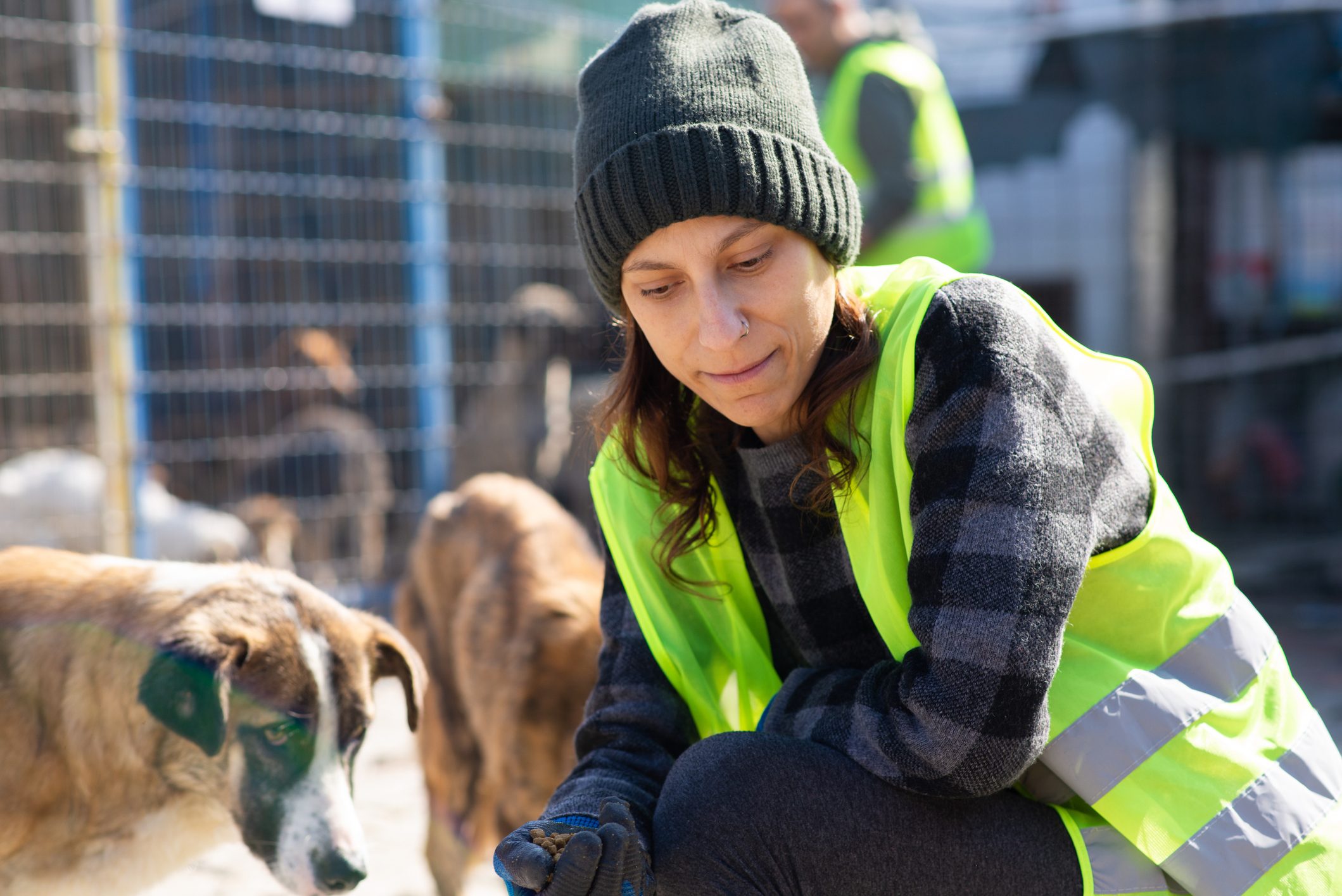 Animali sfruttati per il presepe vivente di Pezze di Greco a Fasano: gli animalisti diffidano il Comune