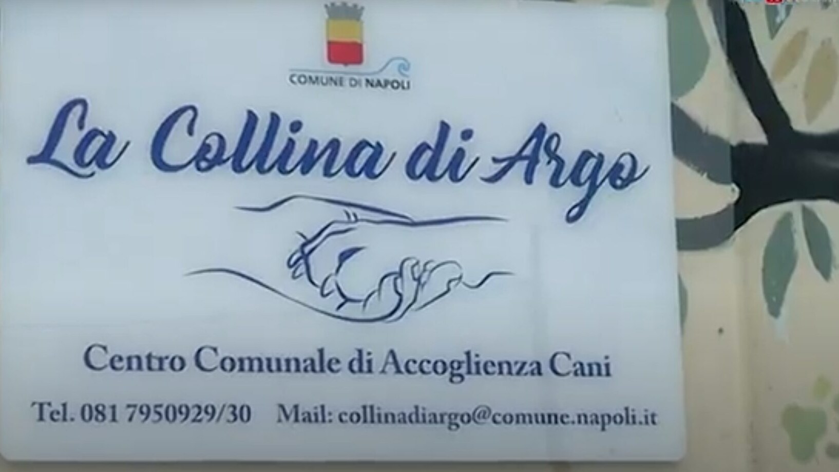 Immagine