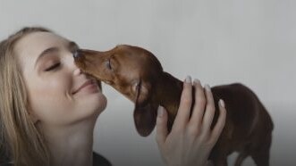 La "copertina" della sezione "Animali d'affezione" del Ministero della Salute