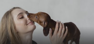 La "copertina" della sezione "Animali d'affezione" del Ministero della Salute