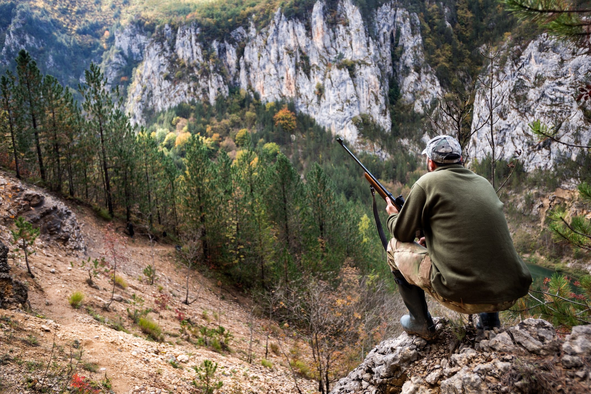 Ddl Montagna, sì emendamento per cacciare nei valichi montani. Opposizione: "Si gioca con la vita degli animali"