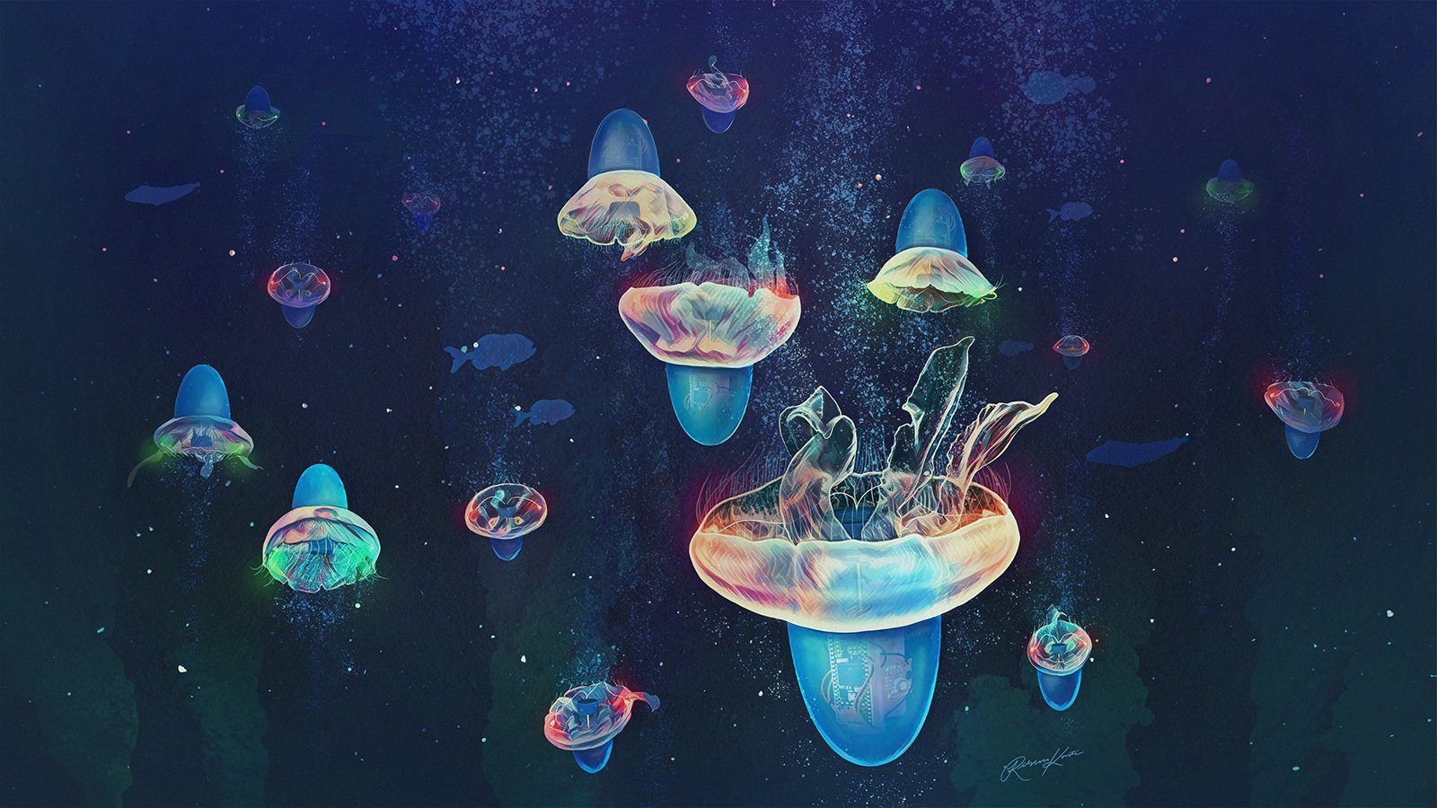 Immagine