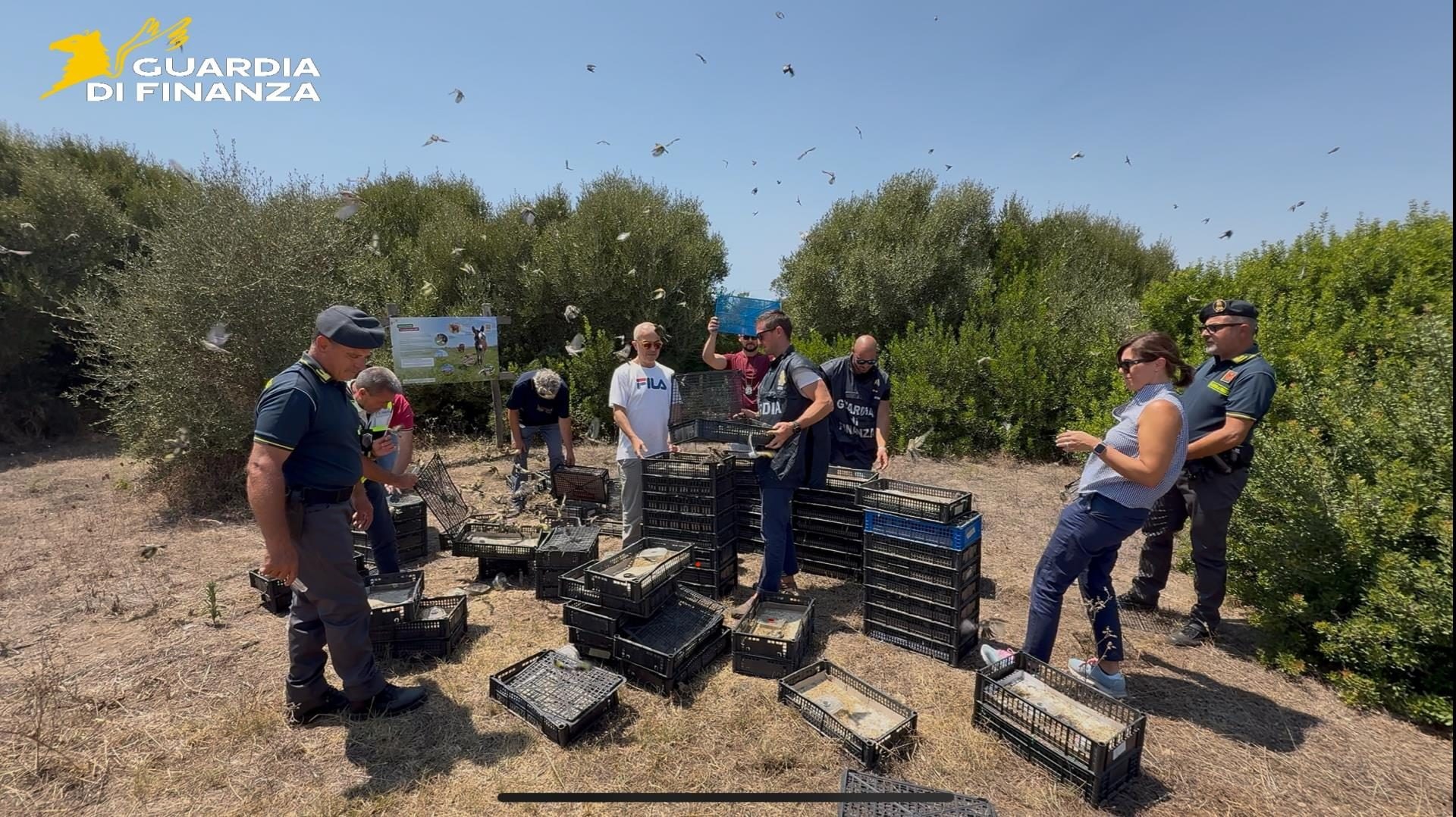 Traffico di Uccelli Rari Smascherato: 2.687 Specie Protette Salvate dalla Guardia di Finanza!