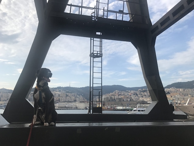 Porto Antico a Genova (foto di Diana Letizia)