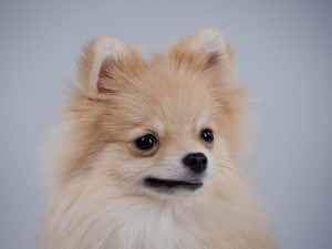 iStock-1289062580-300x225.jpg