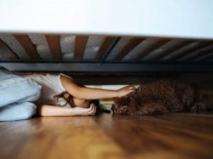 iStock-2150202909-300x225.jpg