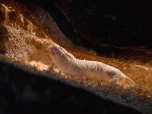 iStock-2221388818-300x225.jpg