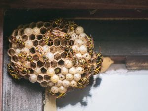 iStock-483791060-300x225.jpg