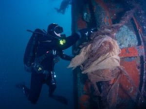 Rimossa una rete fantasma di 1100 chili a Genova: era una trappola mortale per delfini e coralli