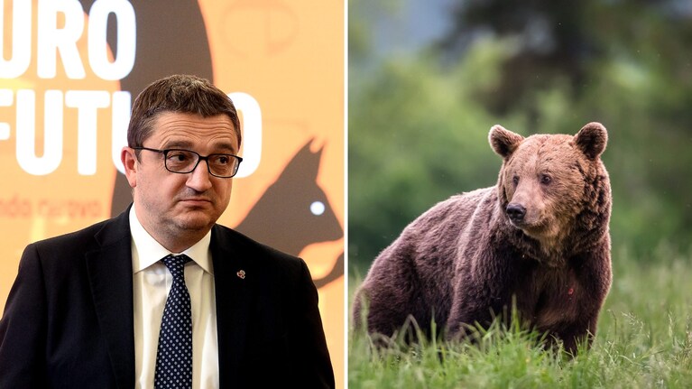 Fugatti indagato per l’uccisione con crudeltà dell’orso M90: respinta la richiesta di archiviazione