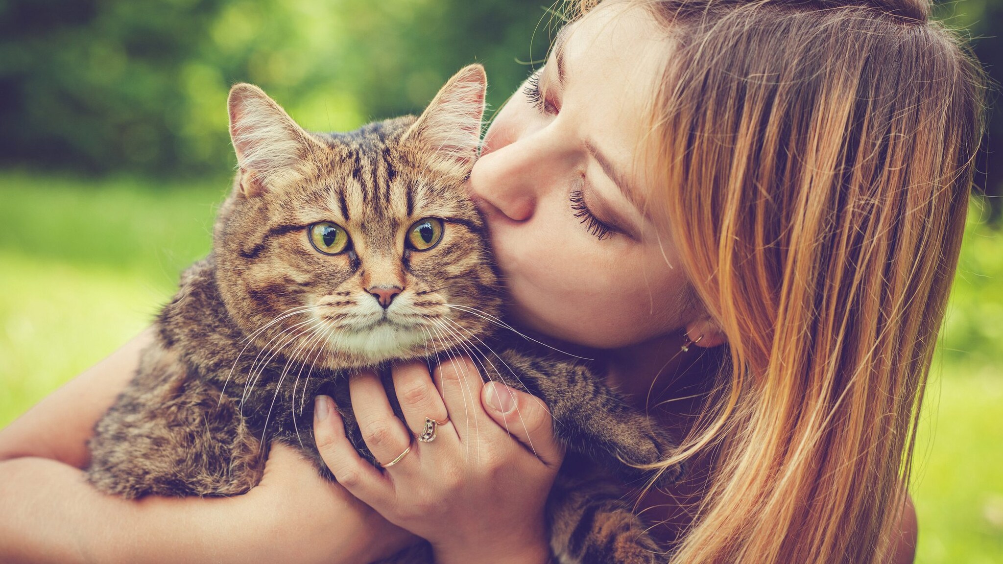 Cosa provano i gatti quando li baciamo? Come reagiscono e perché per loro non sono manifestazioni d’affetto