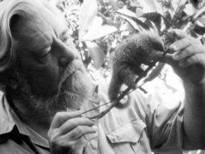 Il suo coleottero e altri animali: una nuova specie di insetto dedicata a Gerald Durrell