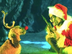 La vera storia del cane del Grinch: razza e caratteristiche del cucciolo che vuole “rubare” il Natale