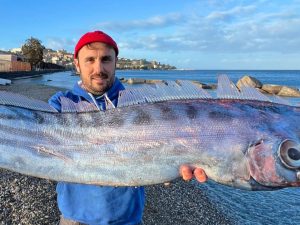Ritrovato un rarissimo pesce liocorno sulla spiaggia di Milazzo: perché è così difficile incontrarne uno