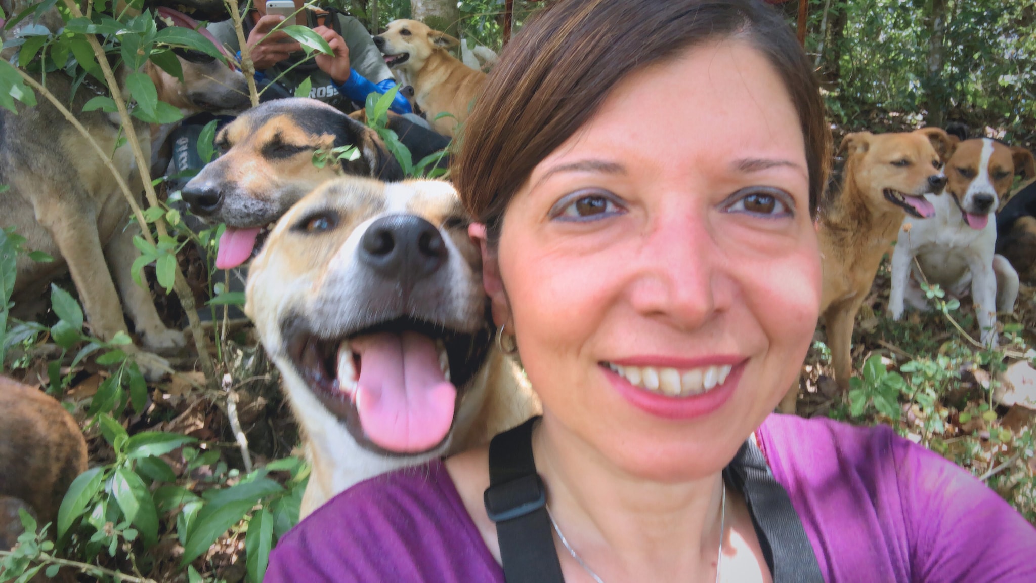Addio a Luna, la randagia che mi ha insegnato a riprendermi la libertà ...
