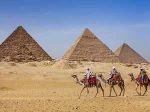 L’Egitto vieta gli spettacoli con animali in hotel e villaggi: svolta a tutela dell’incolumità delle persone