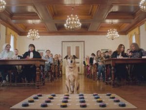 “Un cane a processo”: il film che ha vinto a Cannes nel 2024 arriva in Italia e ci fa riflettere sul tema delle adozioni responsabili