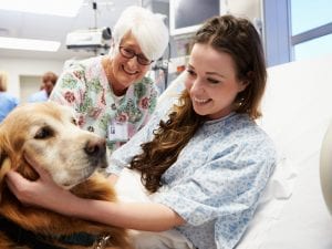 A Treviso sedute di chemio e degenza per i pazienti con il propio animale domestico negli ospedali pubblici
