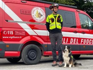Lamù va in pensione dopo 100 missioni: il cane dei Vigili del Fuoco scavò al Ponte Morandi