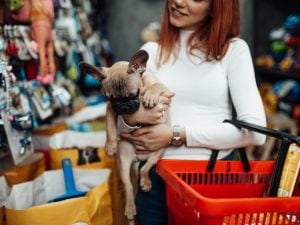 In Colorado sarà vietato vendere cani e gatti nei negozi dal 2027. In Italia è ancora possibile