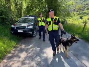 Caso Pamela Genini: la ricerca con i cani da rilevamento cadaveri. Il comandante dell’unità cinofila: “Affiatamento con il conduttore fondamentale”