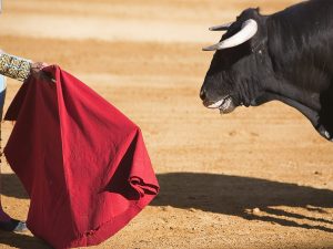 Il Tribunale Amministrativo di Bordeaux ha sospeso la corrida di La Brède, nella Gironda: non c’entra nulla con la tradizione locale