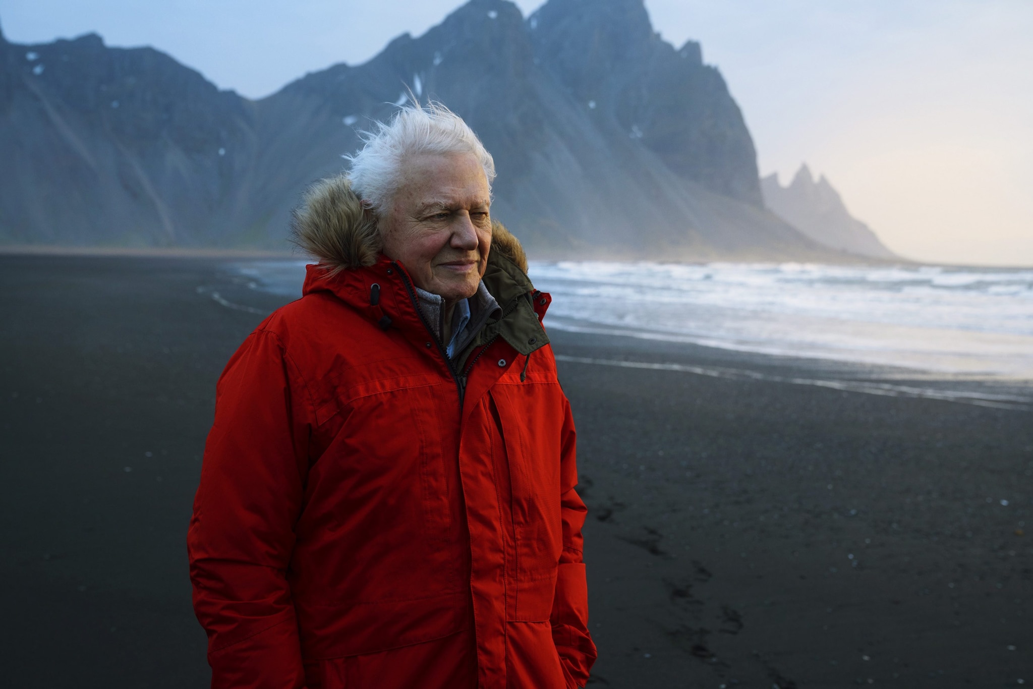 David Attenborough compie 100 anni: un secolo insieme al Pianeta che ha ...