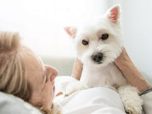 La diseguaglianza di genere nella sperimentazione animale ha favorito gli uomini a discapito delle donne: lo studio su Nature