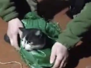 I soldati ucraini usano un drone per salvare un cane e un gatto finiti sulla prima linea durante la guerra con la Russia