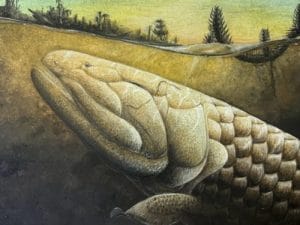 Il pesce preistorico Koharalepis jarviki potrebbe aiutarci a capire come gli animali hanno iniziato a camminare sulla Terra