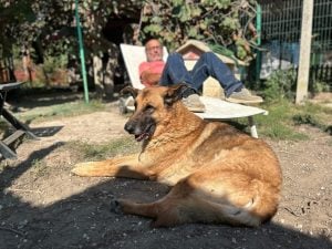 La storia di Luigi, una vita per i cani e i gatti di nessuno