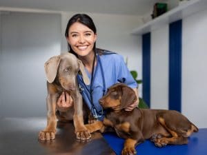 L’importanza della prevenzione per cani e gatti da