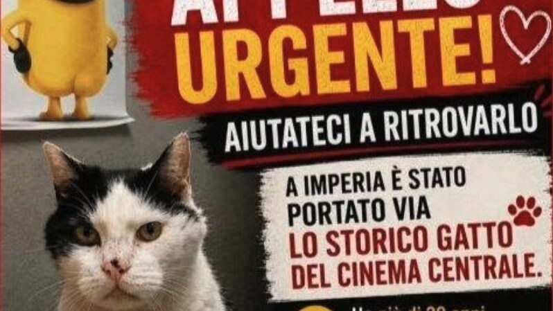 Immagine