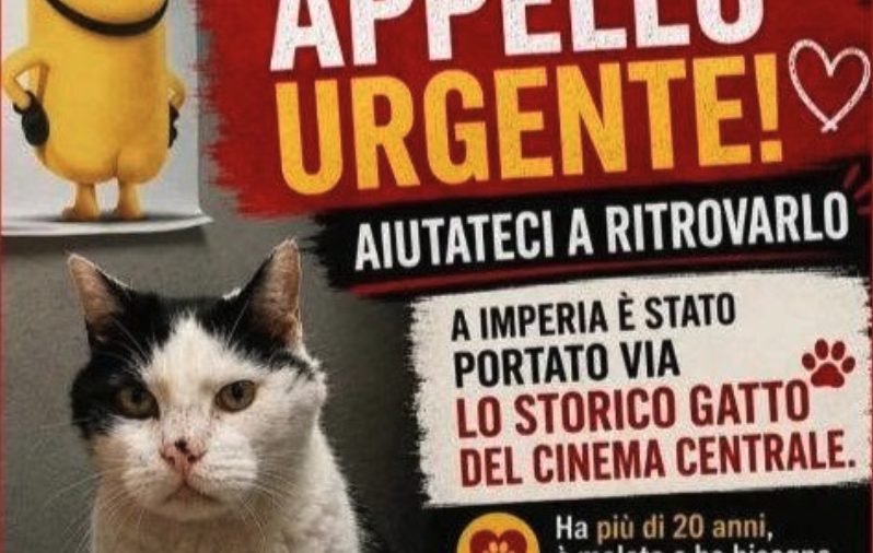 Immagine