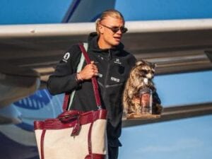 Erling Haaland e il procione imbalsamato acquistato in Norvegia