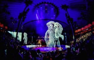 La metamorfosi dei circhi: niente animali e spettacoli olografici nel segno del rispetto delle altre specie viventi