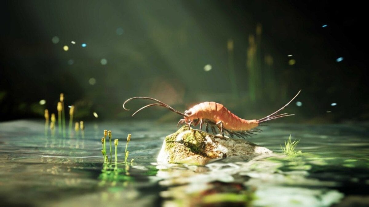 Immagine