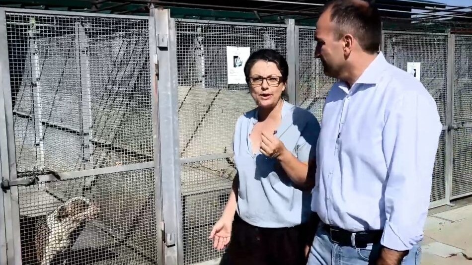 Il Sindaco di Torino va in canile e fa un appello per le adozioni: dovrebbero farlo tutti i Primi cittadini