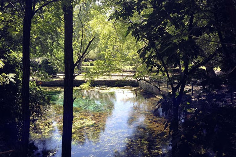 Rio Grassano al Parco del Grassano