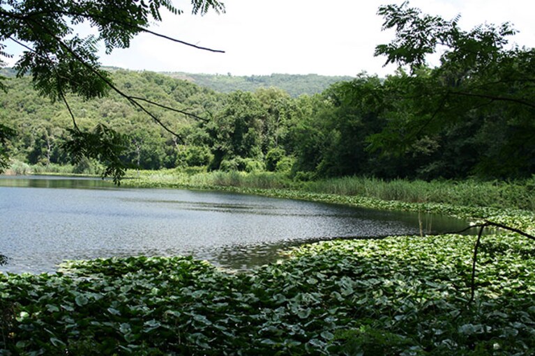 Lago grande della Riserva naturale degli Astroni